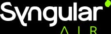 Logo Syngular